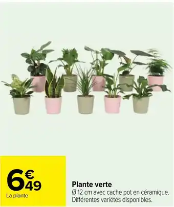 Carrefour Plante verte offre