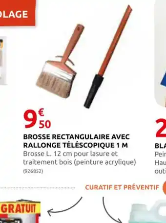 Rural Master BROSSE RECTANGULAIRE AVEC RALLONGE TÉLÉSCOPIQUE 1 M offre