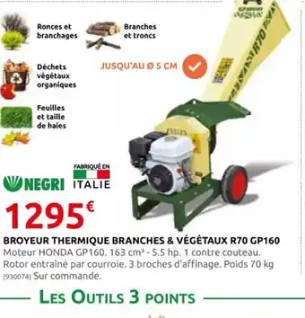 Rural Master BROYEUR THERMIQUE BRANCHES & VÉGÉTAUX R70 GP160 offre