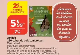 Bi1 Actifeu 220 cubes de bois compressés offre