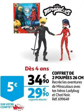 Ladybug coffret de 2 poupées 26 cm