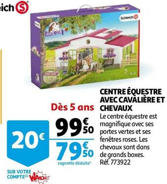 Centre équestre avec cavalière et chevaux