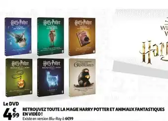 Retrouvez toute la magie harry potter et animaux fantastiques en vidéo !