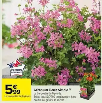 Carrefour Market Fleurs offre