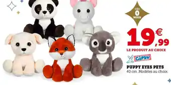 Puppy puppy eyes pets