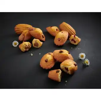 Auchan Madeleines Fourrées offre