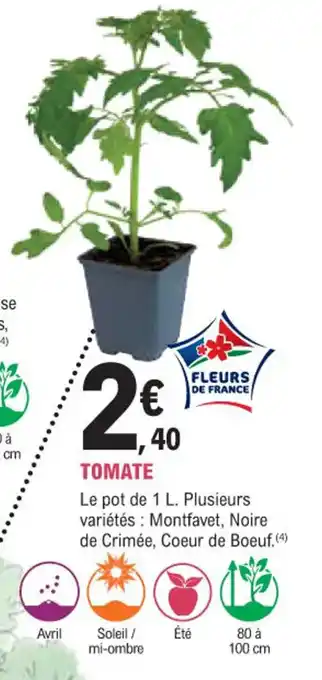 E.Leclerc Jardi TOMATE offre