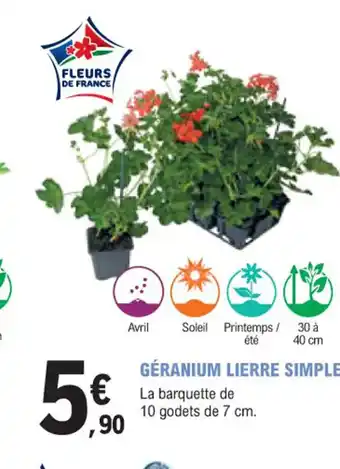 E.Leclerc Jardi GÉRANIUM LIERRE SIMPLE offre