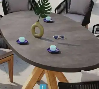 E.Leclerc Jardi TABLE OVALE (2) offre