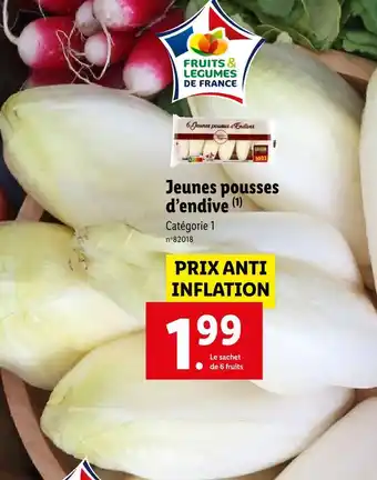 Lidl Jeunes pousses d’endive offre