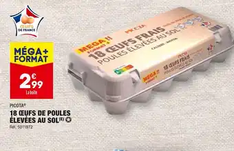 ALDI PICOTA 18 ŒUFS DE POULES ÉLEVÉES AU SOL offre