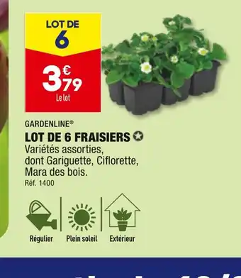 ALDI GARDENLINE LOT DE 6 FRAISIERS offre