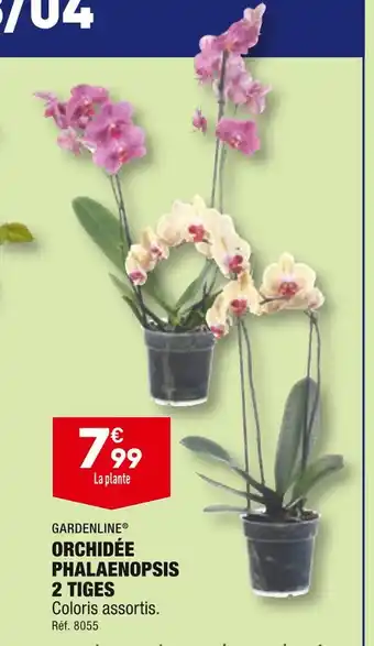 ALDI GARDENLINE ORCHIDÉE PHALAENOPSIS 2 TIGES offre
