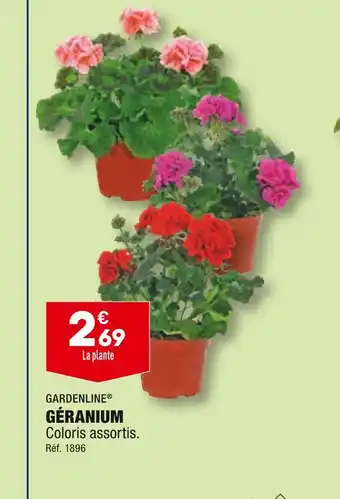 ALDI GARDENLINE GÉRANIUM offre