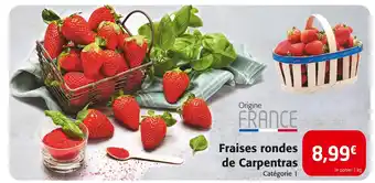 Fraises rondes de Carpentras