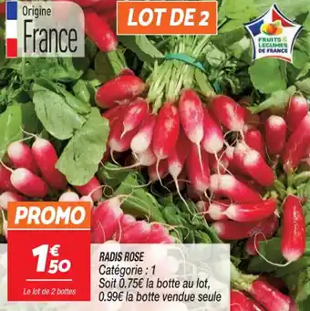 Netto RADIS ROSE offre