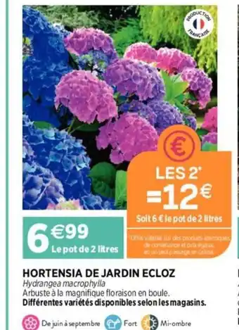 Delbard HORTENSIA DE JARDIN ECLOZ offre