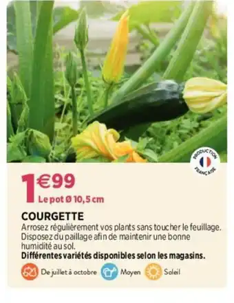 COURGETTE