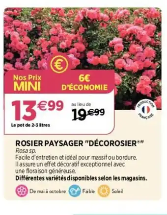 Delbard ROSIER PAYSAGER "DÉCOROSIER offre