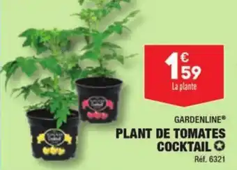 ALDI PLANT DE TOMATES COCKTAIL offre