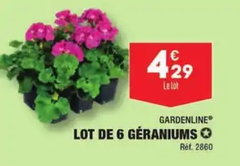 ALDI LOT DE 6 GÉRANIUMS ✪ Réf. 2860 offre