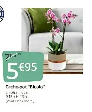 Cache-pot bicolo