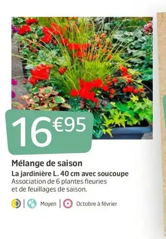 Mélange de saison