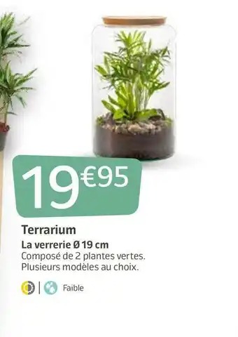 Jardiland Terrarium offre
