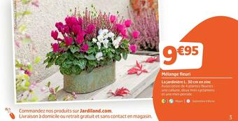 Jardiland Mélange fleuri offre