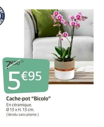 Cache-pot bicolo