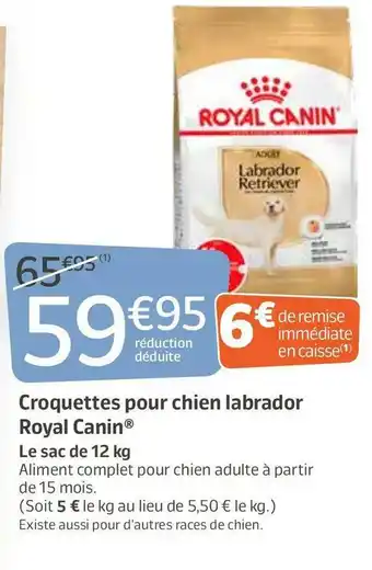 Jardiland Royal canin croquettes pour chien labrador offre