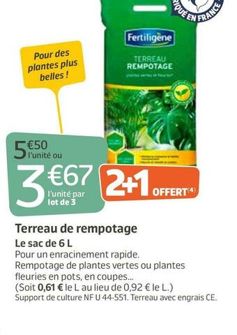 Fertiligène terreau de rempotage