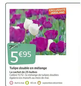 Jardiland Tulipe double en mélange offre