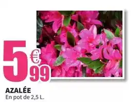 Auchan Auchan - fraises filière cultivons le bon offre