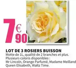 Auchan Maison montfort - magrets de canard offre