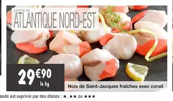 Noix De Saint-Jacques Fraiches Avec Corail