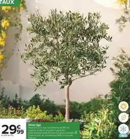 Auchan Gardenstar - gazon universel 1 kg offre