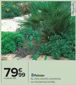 Auchan Écorce de pin 50l offre