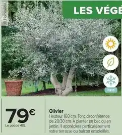 Auchan Belli - récupérateur d'eau 300l offre