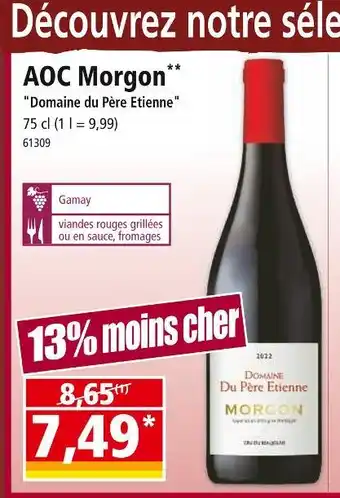 Norma Domaine du Père Etienne AOC Morgon offre