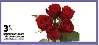 Auchan Bouquet De 5 Roses Très Gros Boutons offre