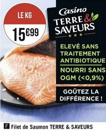 Terre & saveurs filet de saumon