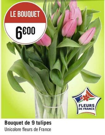 Bouquet de 9 tulipes