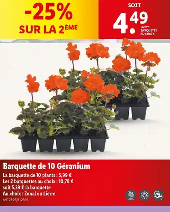 Lidl Barquette de 10 Géranium offre