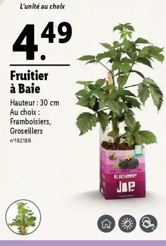 Lidl Fruitier à Baie offre