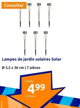 Action Lampes de jardin solaires Solar offre