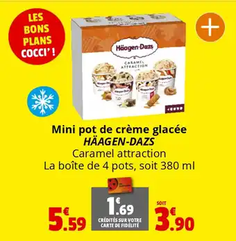 Coccinelle Supermarché Mini pot de crème glacée HÄAGEN-DAZS offre