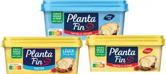 PLANTA FIN SUR TOUT