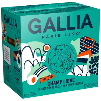 Carrefour GALLIA Bière blonde offre