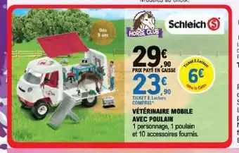 Vètèrinaire Mobile Avec Poulain